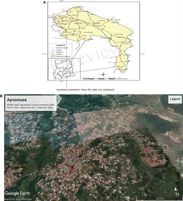 Malaria Transmission, Vector Diversity, and Insecticide Resistance at a Peri-Urban Site in the Forest Zone of Ghana